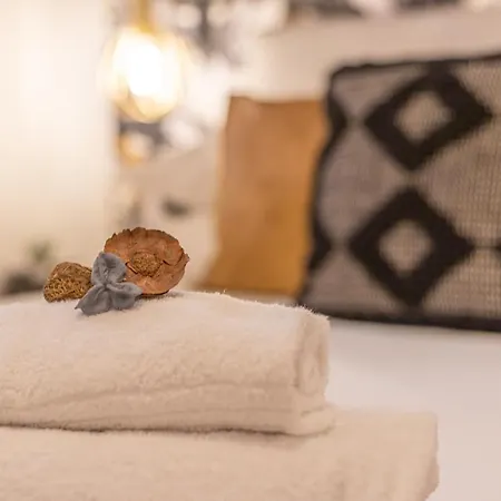 Melissa Stylish Loft At Vatican Museum